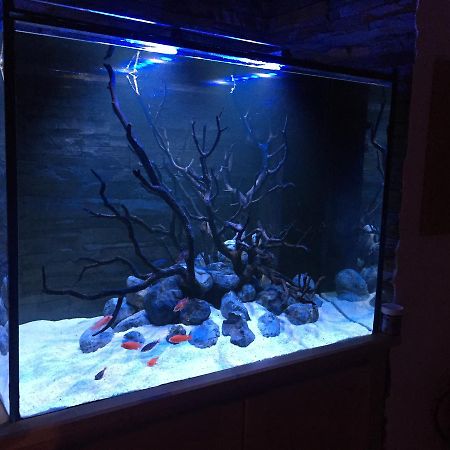 Ferienwohnung Aquarium House Sesimbra Exterior foto